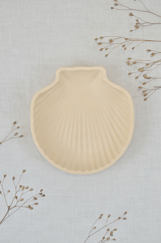 Coquillage
