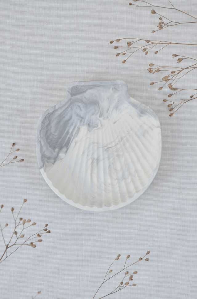 Coquillage