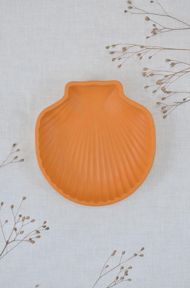 Coquillage