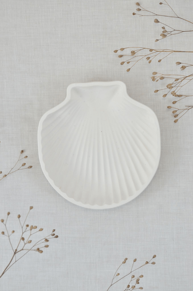 Coquillage
