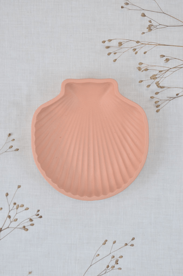 Coquillage