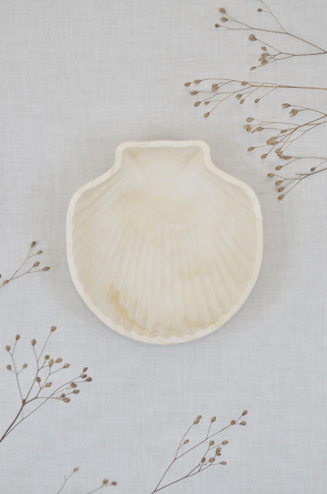 Coquillage