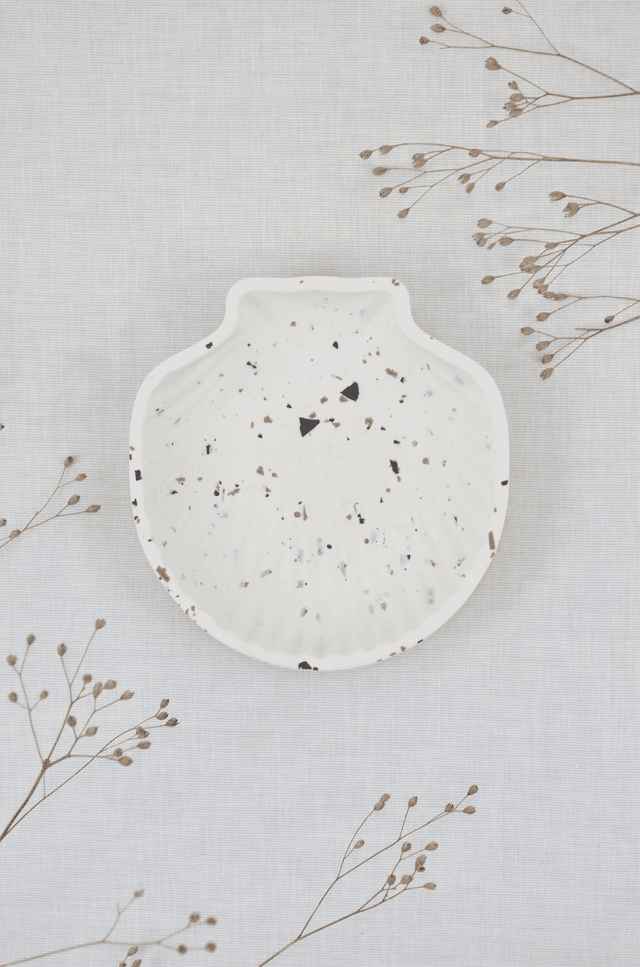 Coquillage