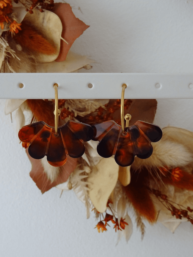 Aile de papillon : écaille de tortue 